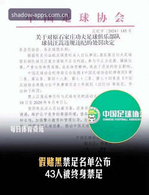 中国足协第三批禁足名单解读：赛事数据同步与行业监管完整指南